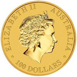 Australian Gold Kangaroo, front