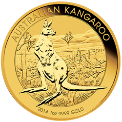 Australian Gold Kangaroo, back