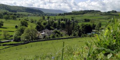 CREATOR: gd-jpeg v1.0 (using IJG JPEG v62), quality = 100