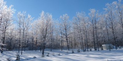 Winter_Feb