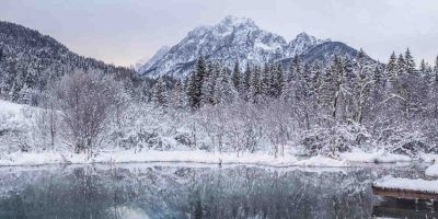 january-2021 january-2021