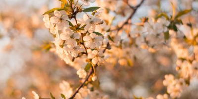 march-2018 march-2018