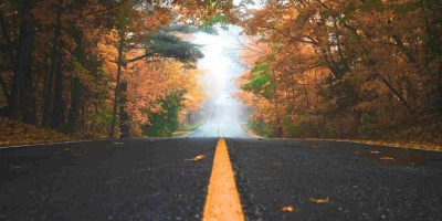 november-2020-news