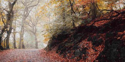 september-2019 september-2019