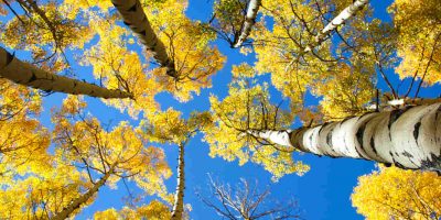 september-2021 september-2021